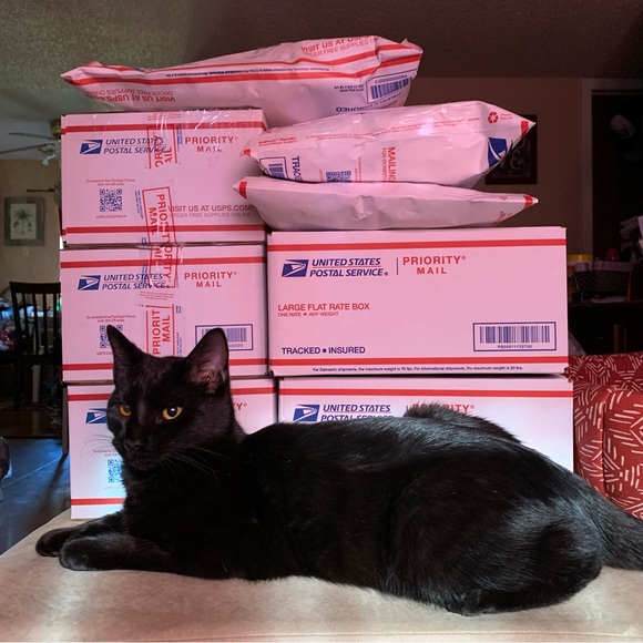 Like this post to be notified of my shows 😺 - Picture 3 of 11